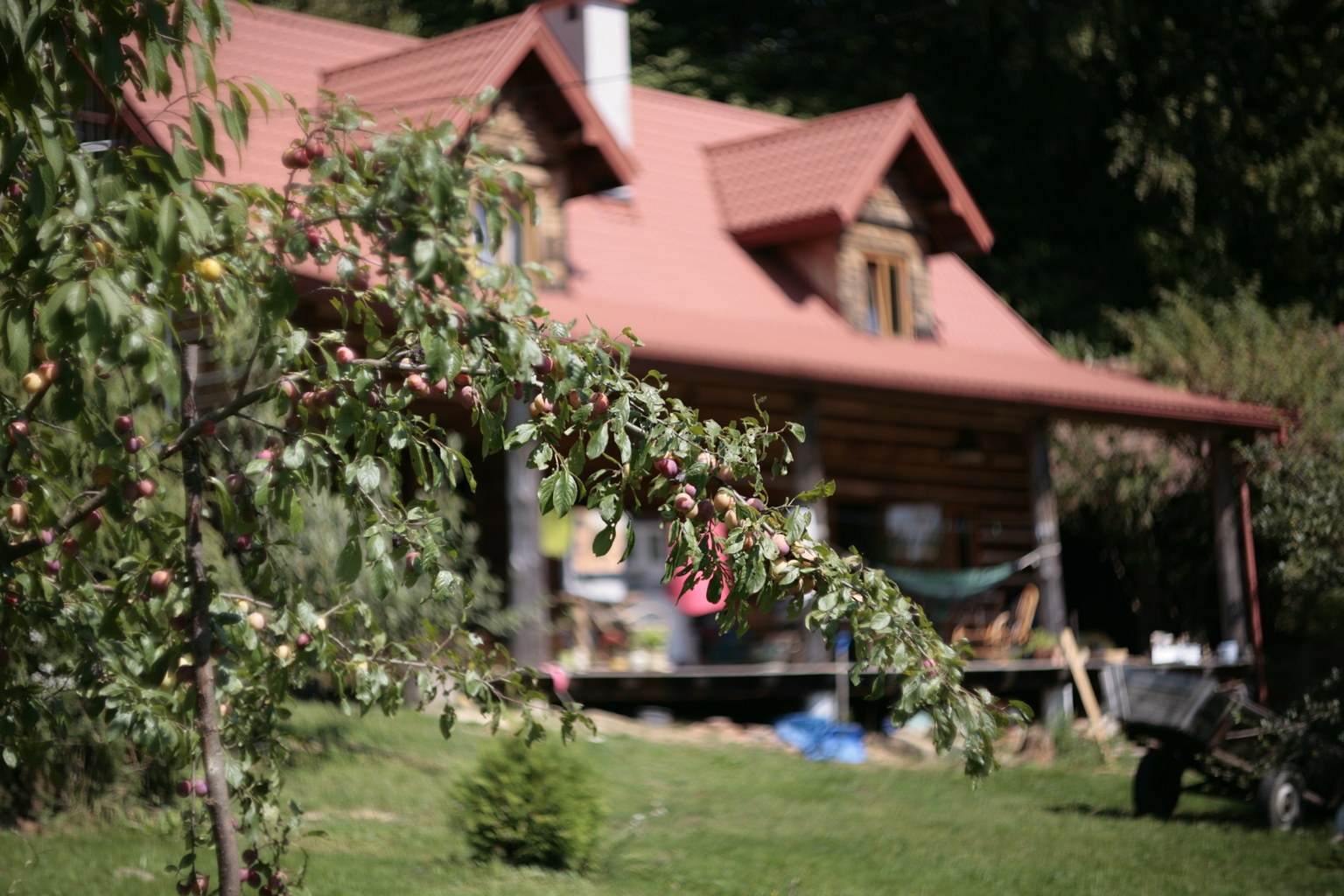 Zadaszony taras drewnianego domu